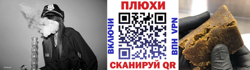 купить наркоту  Грайворон  Гашиш индика сатива 