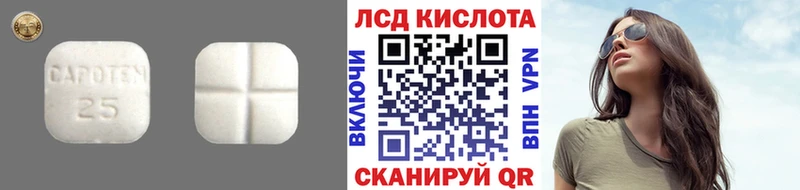 ЛСД экстази ecstasy  цены   Грайворон 