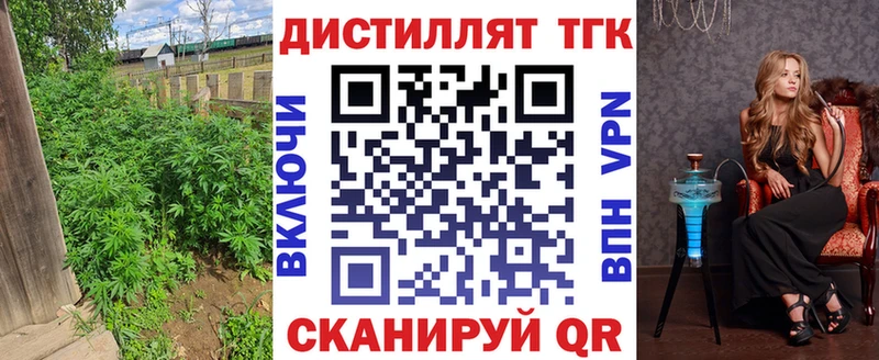 закладки  Грайворон  ТГК Wax 