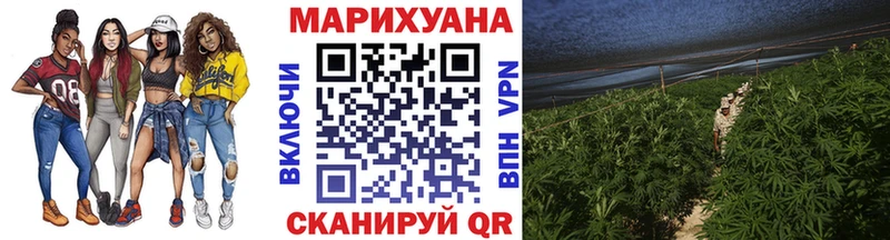 Конопля планчик  купить наркоту  Грайворон 
